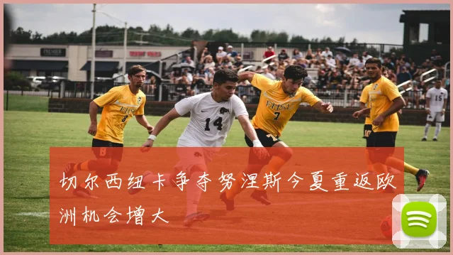 切尔西纽卡争夺努涅斯今夏重返欧洲机会增大